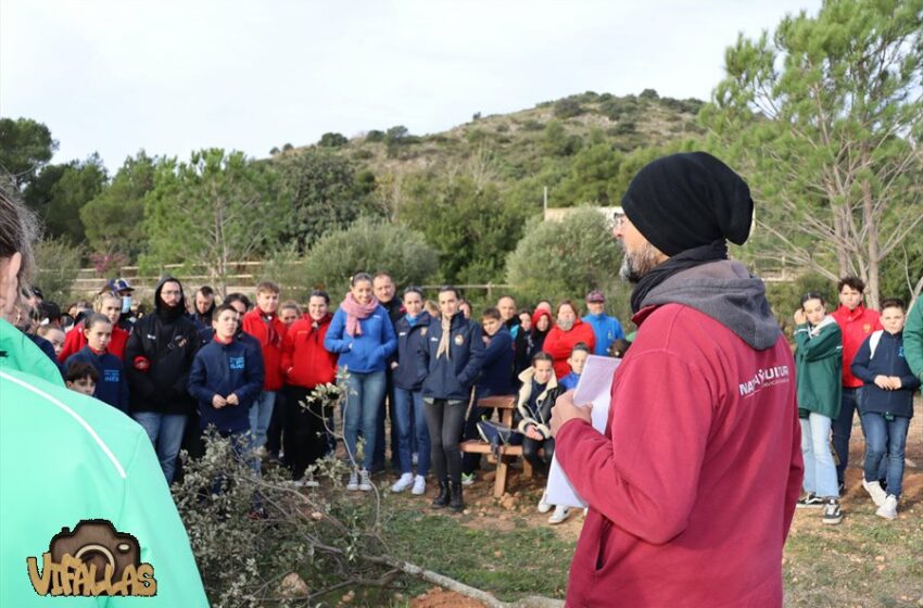  LAS FALLAS TORRENTINAS REALIZAN LA PLANTA EN LA PERENXISA